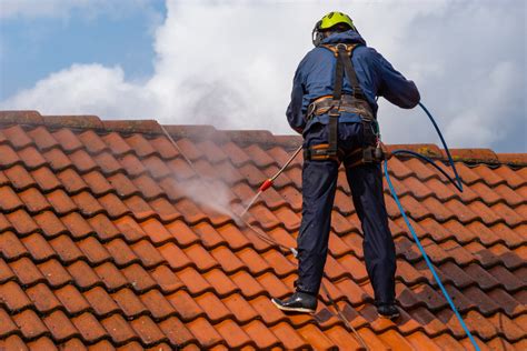 Roof Cleaning Service